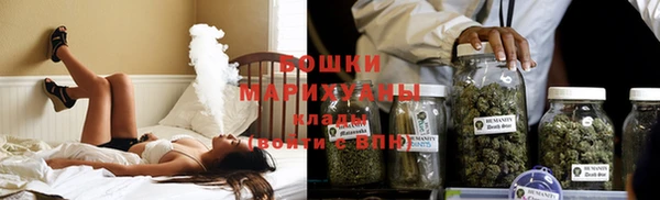 прущий лед Бородино