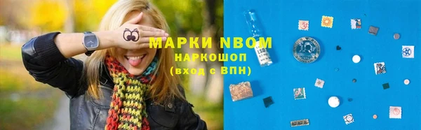 прущий лед Бородино