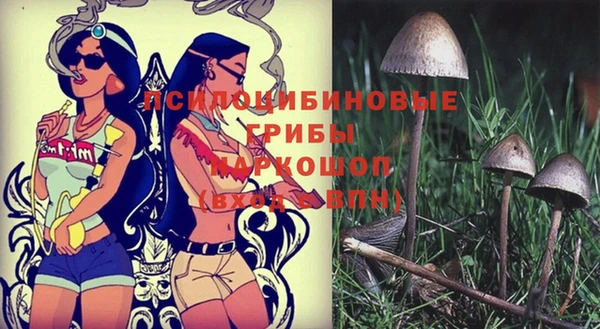 прущий лед Бородино