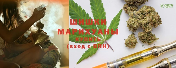 прущий лед Бородино